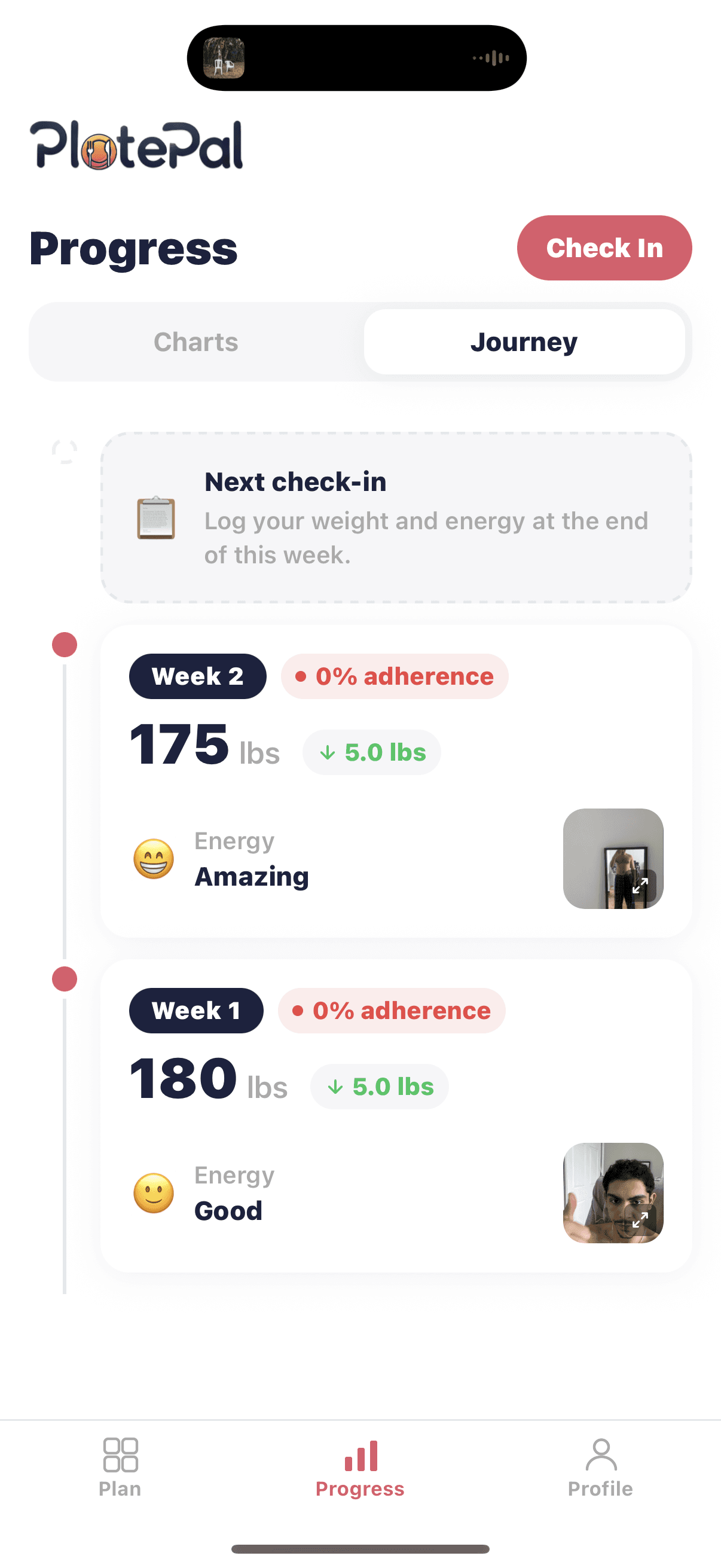 Progress check-in screen